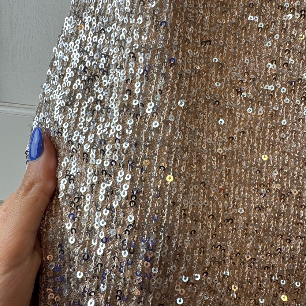 Taupe Sequin Dress NWT - Picture 5 of 5